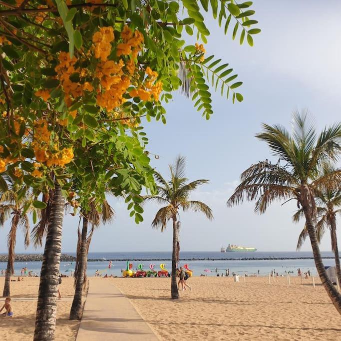 San Andres Beach View Apartment 외부 사진